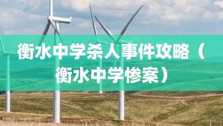 衡水中学杀人事件攻略（衡水中学惨案）