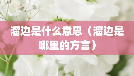 溜边是什么意思(溜边是哪里的方言)