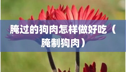腌过的狗肉怎样做好吃（腌制狗肉）