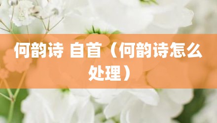 何韵诗 自首（何韵诗怎么处理）