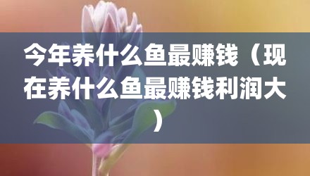 今年养什么鱼最赚钱（现在养什么鱼最赚钱利润大）