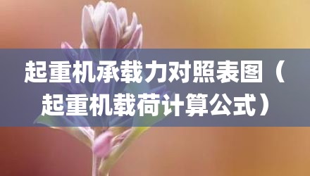 起重机承载力对照表图(起重机载荷计算公式)