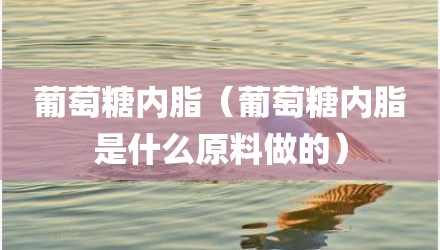 葡萄糖内脂（葡萄糖内脂是什么原料做的）