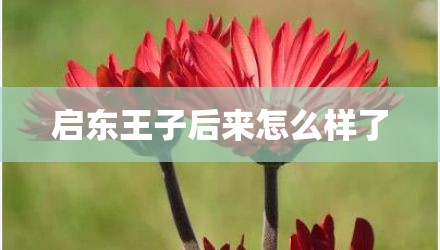 启东王子后来怎么样了
