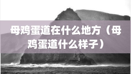 母鸡蛋道在什么地方（母鸡蛋道什么样子）