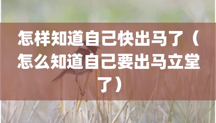 怎样知道自己快出马了(怎么知道自己要出马立堂了)
