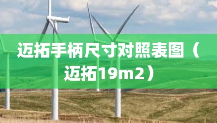 迈拓手柄尺寸对照表图（迈拓19m2）