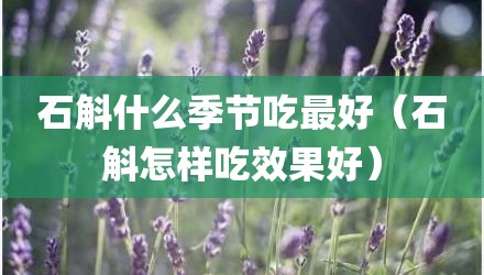 石斛什么季节吃最好（石斛怎样吃效果好）