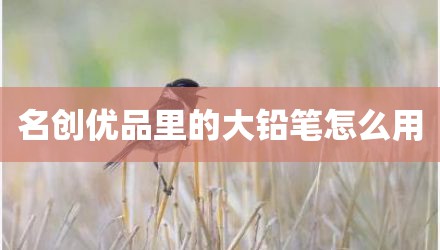 名创优品里的大铅笔怎么用