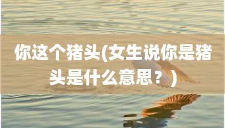 你这个猪头(女生说你是猪头是什么意思？)