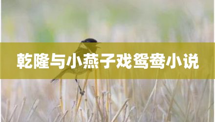 乾隆与小燕子戏鸳鸯小说