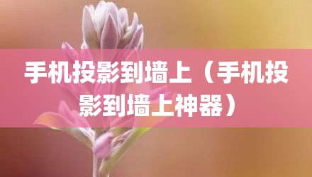 手机投影到墙上（手机投影到墙上神器）