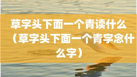 草字头下面一个青读什么（草字头下面一个青字念什么字）