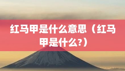 红马甲是什么意思（红马甲是什么?）