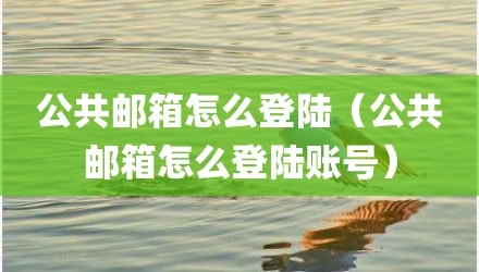 公共邮箱怎么登陆(公共邮箱怎么登陆账号)