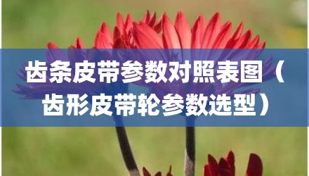 齿条皮带参数对照表图（齿形皮带轮参数选型）