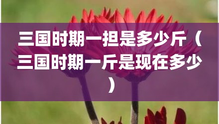 三国时期一担是多少斤(三国时期一斤是现在多少)