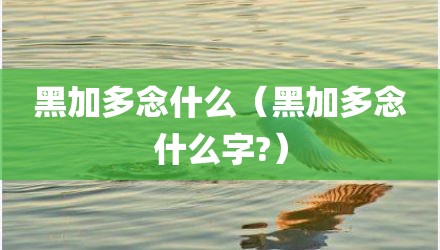 黑加多念什么（黑加多念什么字?）