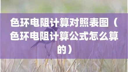 色环电阻计算对照表图（色环电阻计算公式怎么算的）