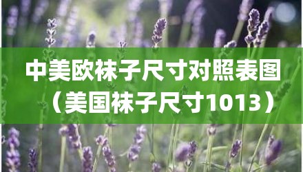中美欧袜子尺寸对照表图（美国袜子尺寸1013）
