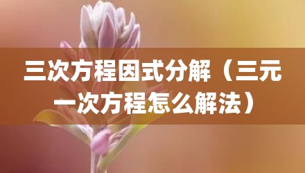 三次方程因式分解（三元一次方程怎么解法）