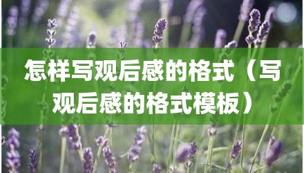 怎样写观后感的格式（写观后感的格式模板）