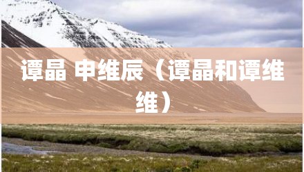 谭晶 申维辰（谭晶和谭维维）