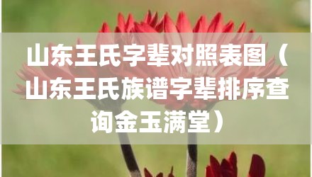 山东王氏字辈对照表图（山东王氏族谱字辈排序查询金玉满堂）