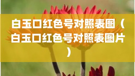 白玉口红色号对照表图（白玉口红色号对照表图片）