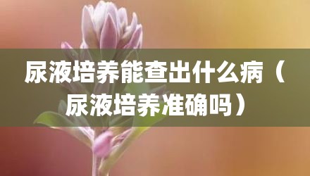 尿液培养能查出什么病（尿液培养准确吗）