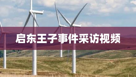 启东王子事件采访视频