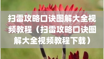 扫雷攻略口诀图解大全视频教程（扫雷攻略口诀图解大全视频教程下载）