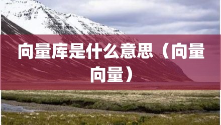 向量库是什么意思（向量向量）