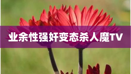 业余性强奸变态杀人魔TV