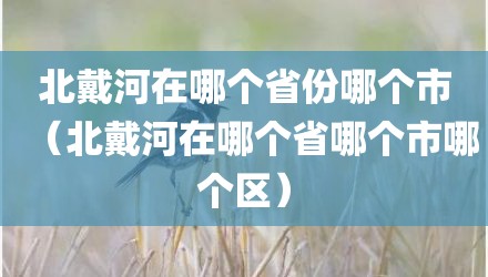 北戴河在哪个省份哪个市（北戴河在哪个省哪个市哪个区）