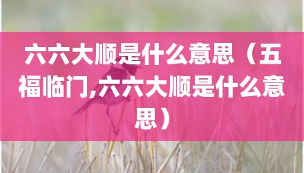 六六大顺是什么意思（五福临门,六六大顺是什么意思）