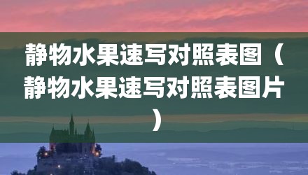 静物水果速写对照表图（静物水果速写对照表图片）