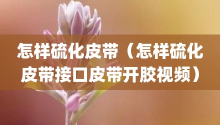 怎样硫化皮带（怎样硫化皮带接口皮带开胶视频）