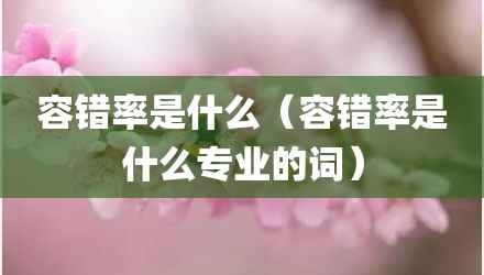 容错率是什么（容错率是什么专业的词）