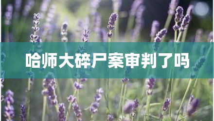哈师大碎尸案审判了吗