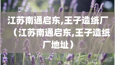 江苏南通启东,王子造纸厂（江苏南通启东,王子造纸厂地址）