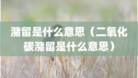 潴留是什么意思（二氧化碳潴留是什么意思）