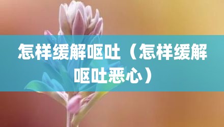 怎样缓解呕吐(怎样缓解呕吐恶心)