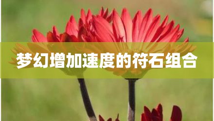 梦幻增加速度的符石组合
