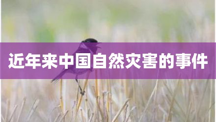 近年来中国自然灾害的事件