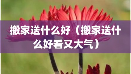 搬家送什么好（搬家送什么好看又大气）