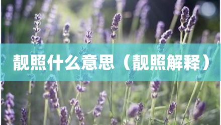 靓照什么意思（靓照解释）