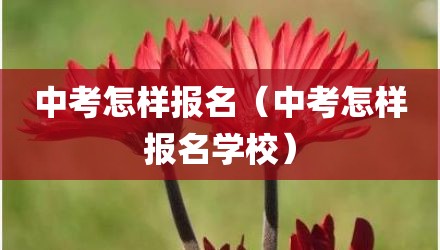 中考怎样报名（中考怎样报名学校）
