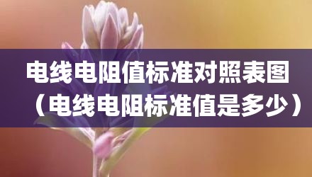 电线电阻值标准对照表图（电线电阻标准值是多少）