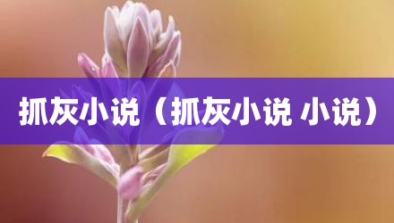 抓灰小说（抓灰小说 小说）